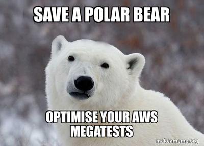 Photo of a polar bear face with the text 'Save a polarbear, optimise your AWS megatests' overlaid